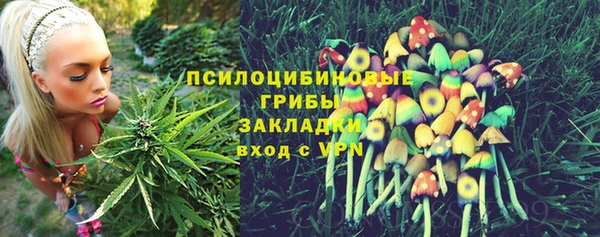 эйфоретик Алексин