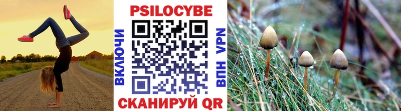 omg tor Еманжелинск Псилоцибиновые грибы Cubensis