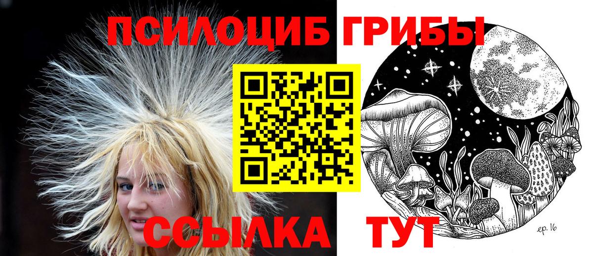 Галлюциногенные грибы мицелий Еманжелинск