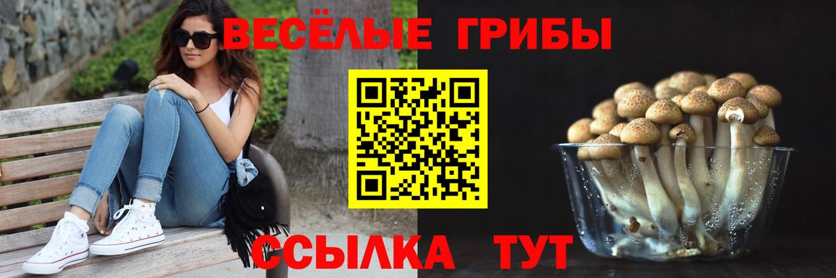 Галлюциногенные грибы Psilocybine cubensis  Вход с VPN  Еманжелинск 